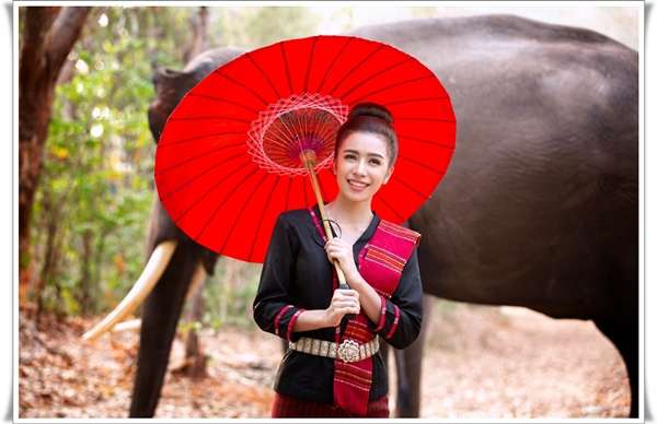 ร่มผ้าเคลือบน้ำมัน ร่มเชียงใหม่